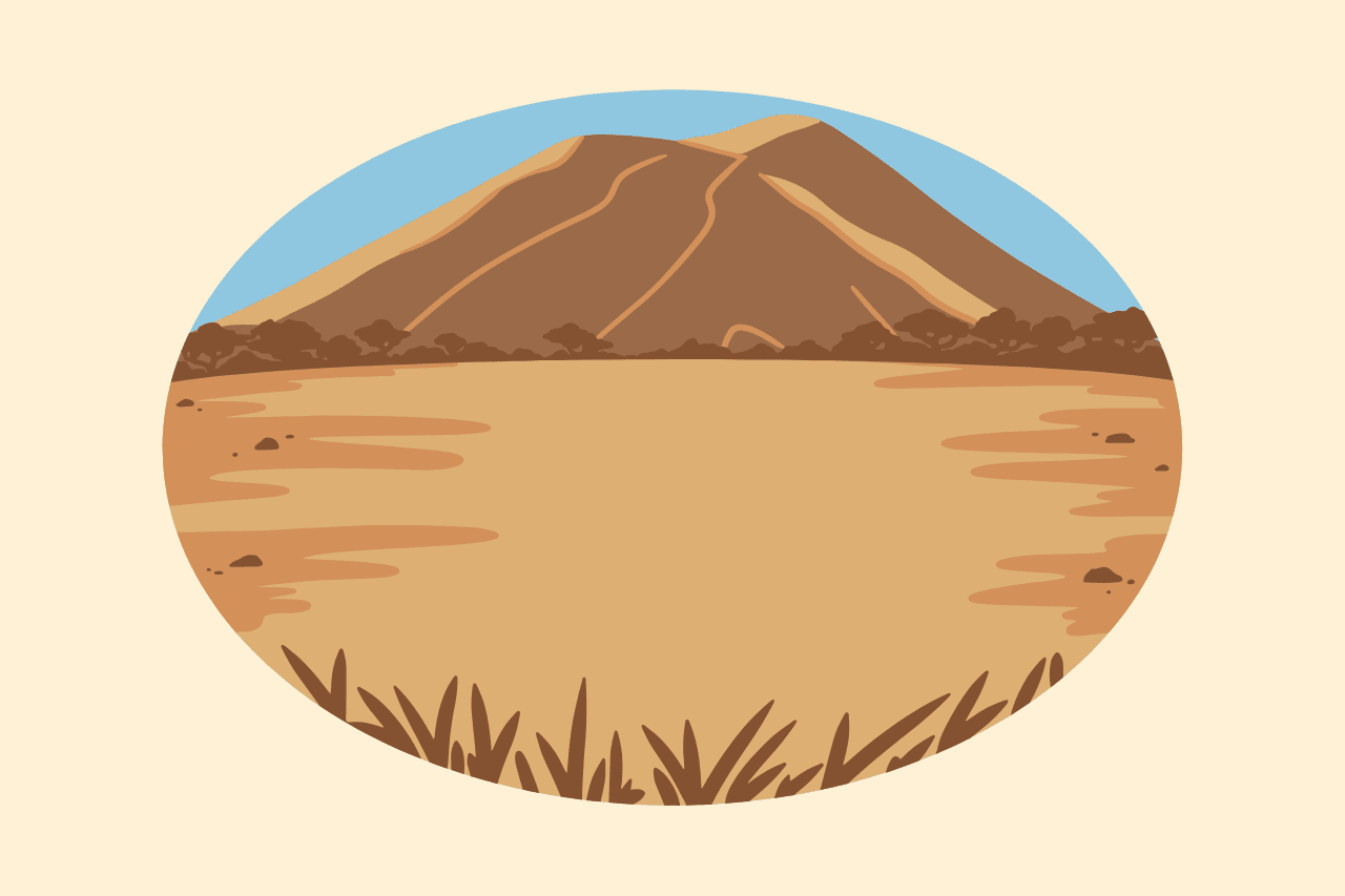 Discovering the Desert
